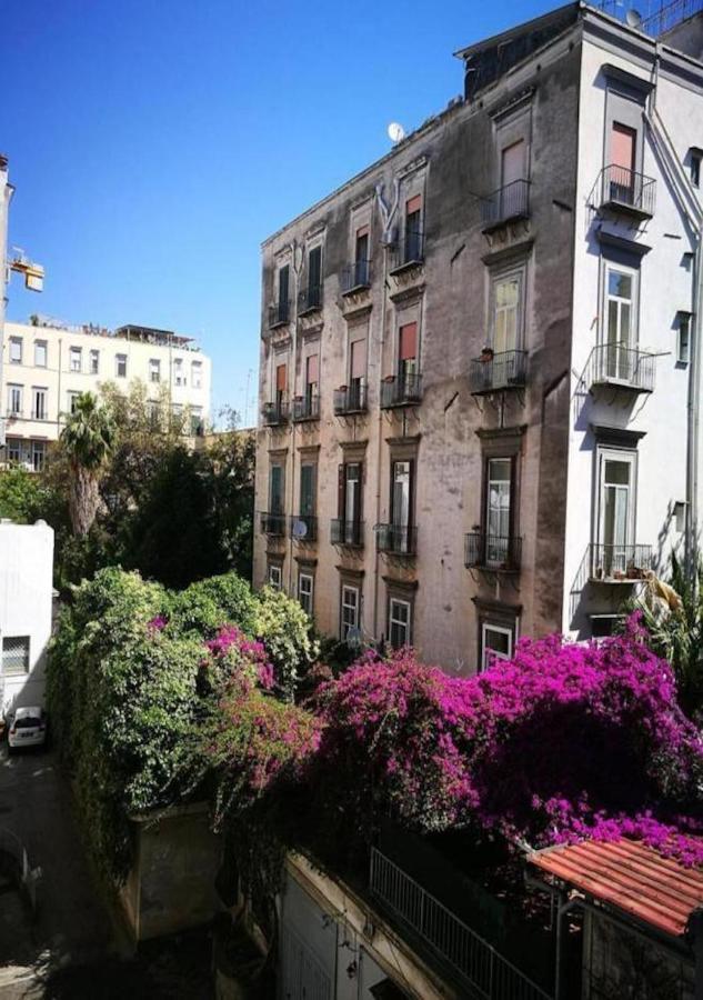 Domus Luigi Leone II Bed & Breakfast Napoli Ngoại thất bức ảnh